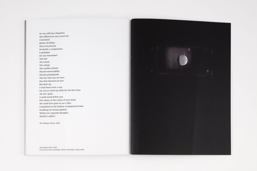 Gary Hill<br>Mind’s eye blink(s) - 031A1234_DxO.jpg